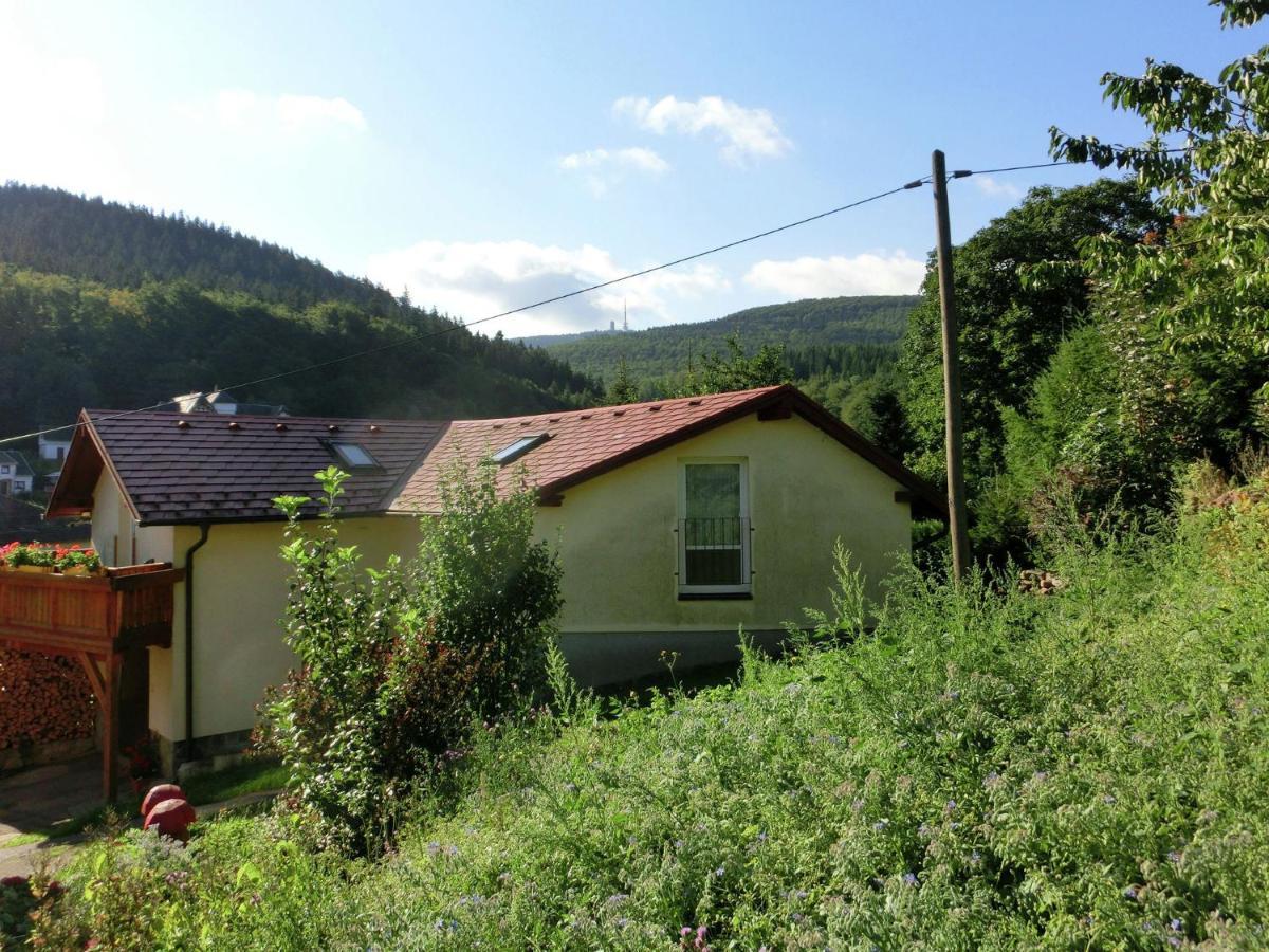 Cottage Near A Ski Resort Winterstein Exterior foto